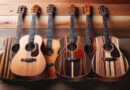 Comparatif des Guitares Folk avec Différents Types de Bois